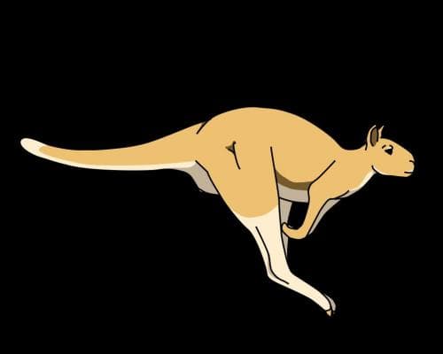Huge ancient kangaroos could have hopped, scientists find