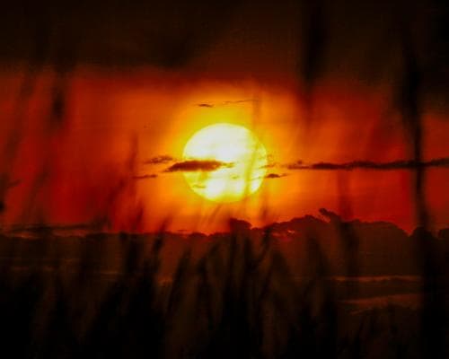 Australia Braces for Record Heatwave and Dangerous Fires