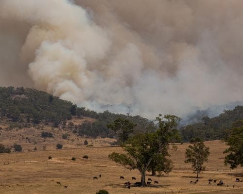South‑East Australia Faces Record Heat and Extreme Bushfire Risk