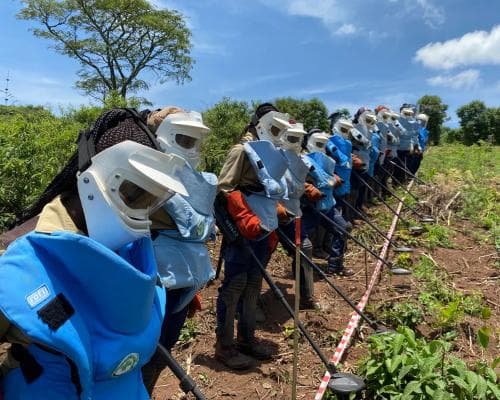 US Funding Cuts Leave Zimbabwe Mine‑Clearing Women Unemployed