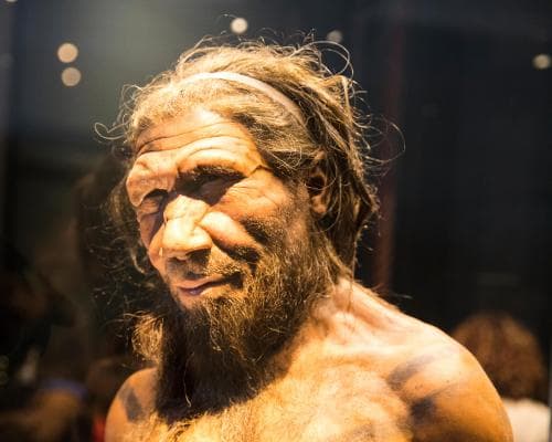 Neanderthal Noses Might Not Be Built for Cold Weather