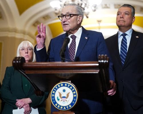 Democrats Demand New Rules for ICE in Homeland Security Budget