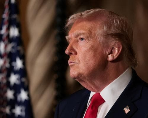 Maga's Guilt, Nonsense, and Mirth: A Letter Collection