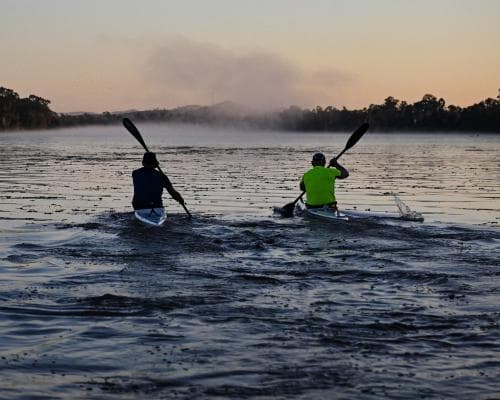 Queensland Wants Olympic Rowing on Fitzroy River, Despite Crocodile Concerns