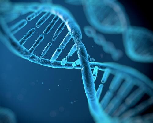 DeepMind AI Helps Spot Genetic Causes of Disease
