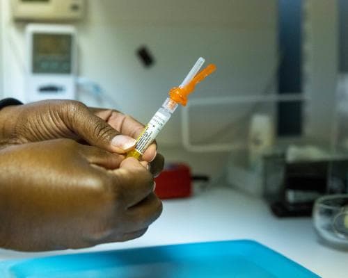 Guinea‑Bissau Stops US Hepatitis‑B Vaccine Trial