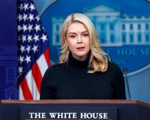 Trump’s Immigration Crackdown Draws Criticism After ICE Shooting