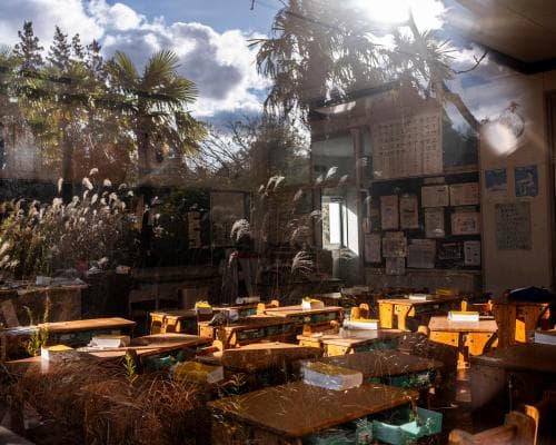 Fukushima Towns: Nature Thrives While Residents Await Return