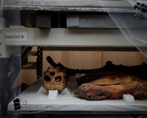 UK museums keep over 260,000 human remains—here’s where
