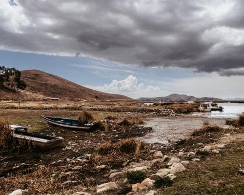 UK government hid report warning of ecosystem collapse