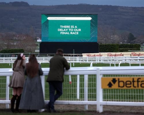 Cheltenham Trials Day: Horse Injury, Turf Hole, and a Close Finish