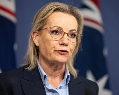 Coalition Told to Ignore Pauline Hanson’s Views as It Plans Tougher Immigration Rules