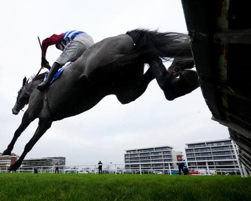 Can British jumpers win at the 2026 Cheltenham Festival?