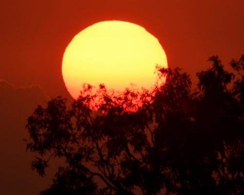 Australia Faces Heatwave: Temperatures to Hit Low 40s