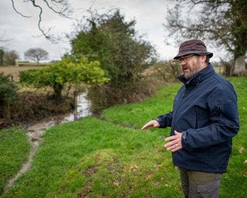 Norfolk Wildlife Trust restores old wood after 100 years