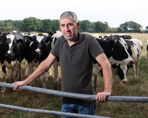 Dairy Farmers Lose £1,800 a Day as Milk Prices Drop