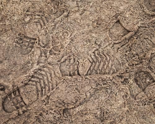 Why Hard, Frozen Soil Is More Important Than You Think