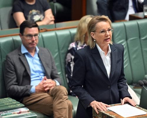 Nationals Threaten Mass Resignation Over Hate‑Speech Bill
