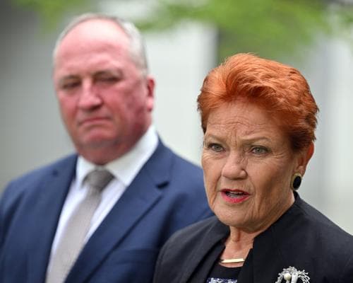 One Nation Reaches Record Polls, Sussan Ley Faces Leadership Crisis