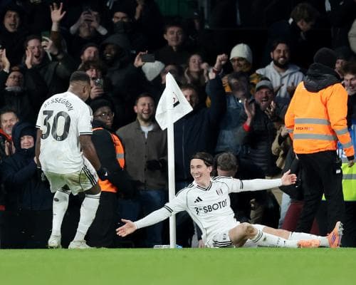 Fulham Beat Brighton with Late Goal by Harry Wilson