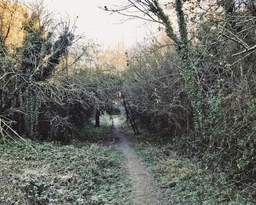 From Ice Age Mammoths to Modern Trash: An Essex Gorge Tale