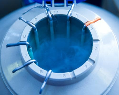 Can parents pick embryos with higher IQ? The truth about polygenic screening in IVF