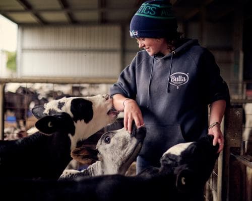 Cows Clash with New Milk‑Robots, But Farms See Gains