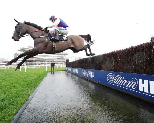 Haiti Couleurs and Lulamba Look Strong for Cheltenham Festival
