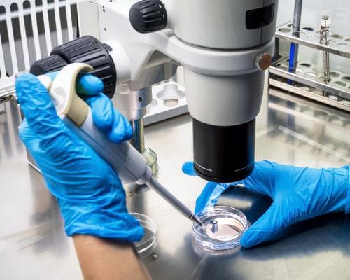 Europe Sees Chance to Bring U.S. Scientists After Trump Cuts