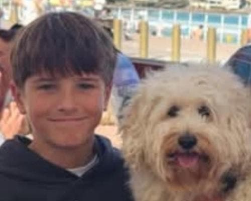 Sydney 12‑Year‑Old Dies After Shark Attack on Harbour Beach