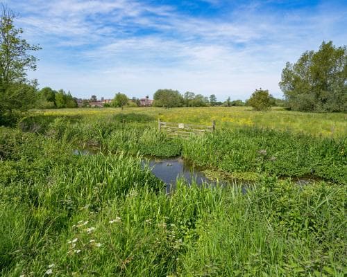 England’s nature recovery plan weakened by short‑notice contract clause