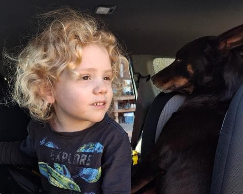 South Australian Parents Urge Public Help to Find Missing 4‑Year‑Old