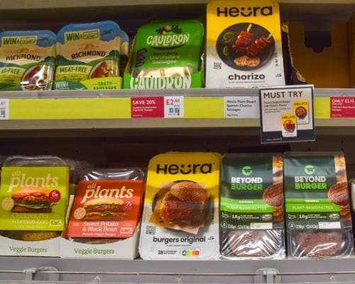 Paul McCartney Urges EU to Drop Ban on Veggie Burgers and Sausages