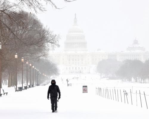 US winter storm kills seven, cuts power, cancels flights