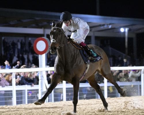 Constitution Hill’s win at Southwell brings hope for British horse racing